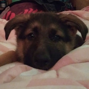 Meet your Posher, Tiffany